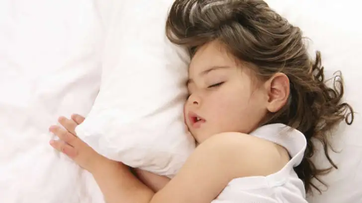 geniz_eti-728x410.webp