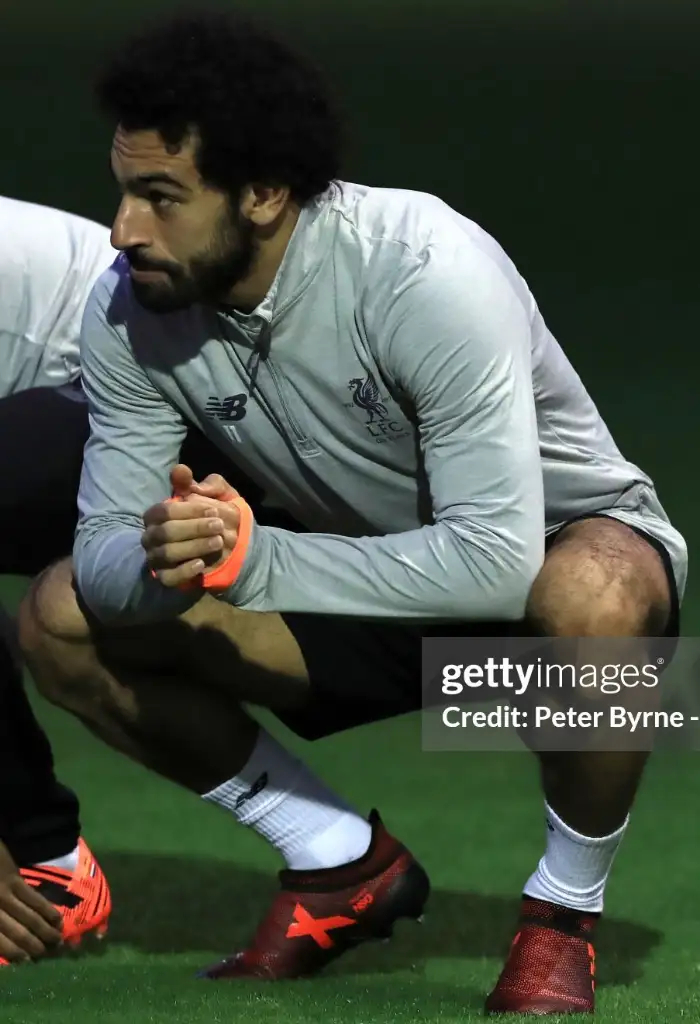 gettyimages-868672238-2048x2048~2.webp