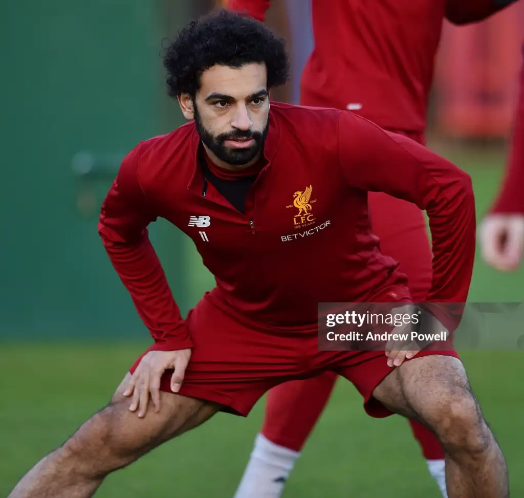 gettyimages-874966372-2048x2048.webp