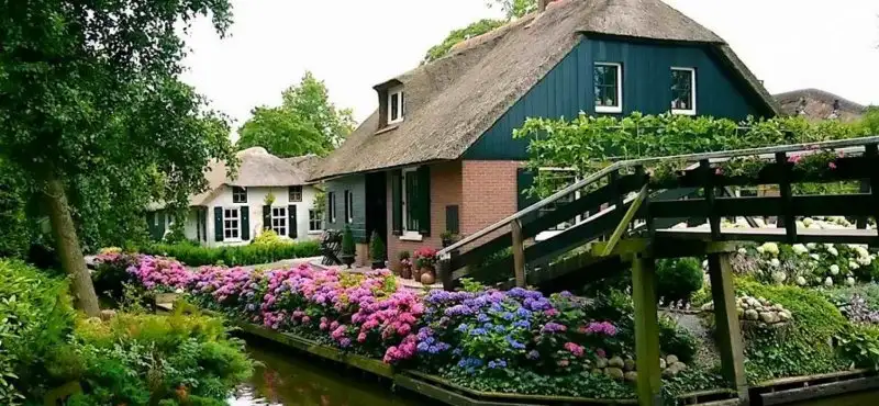 giethoorn_flowers-1728x800_c.webp