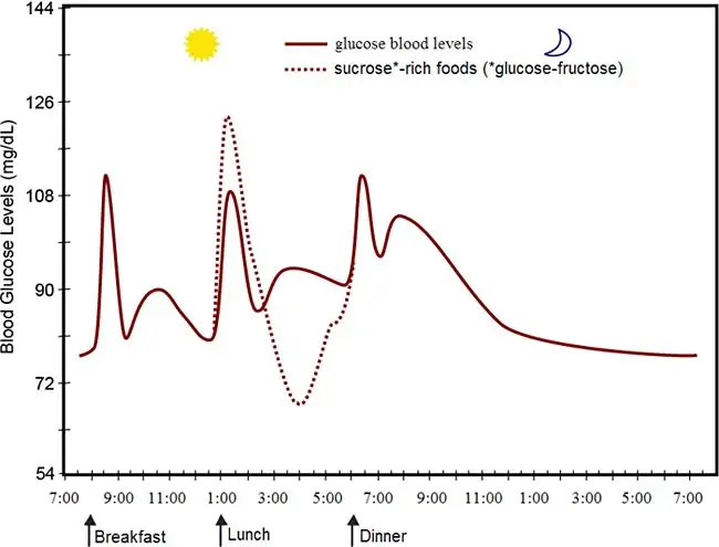 glucose-levels-daily-fluctuations.webp