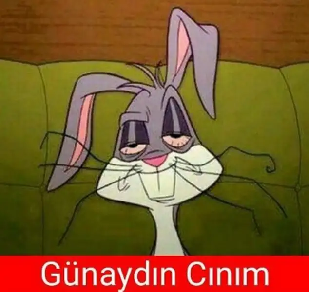 gnydn.webp