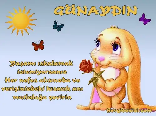 gnydn009tg1[1].webp