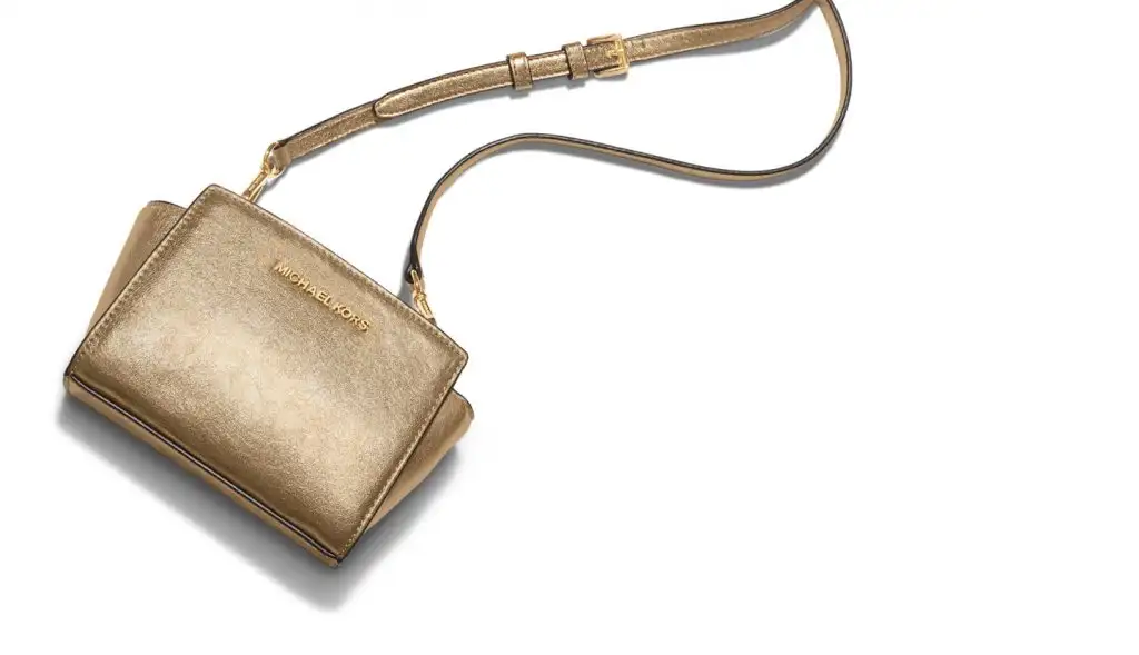 goldpurse.webp