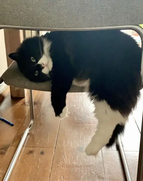 görsel (1).webp