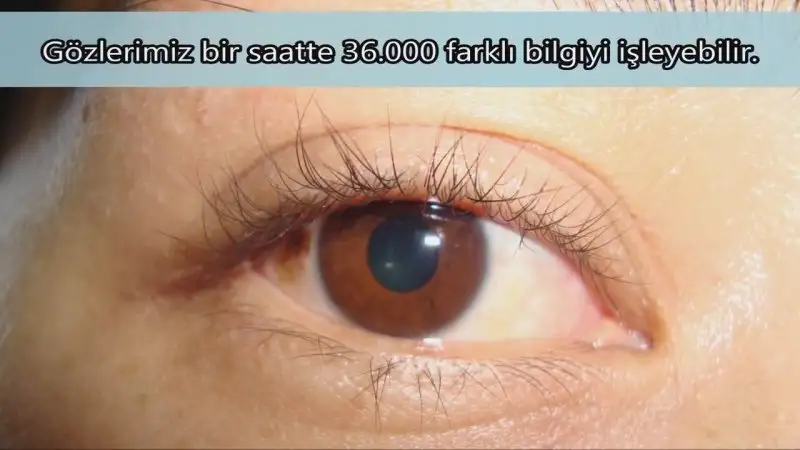 gozleriniz-hakkinda-bilmediginiz-11-sasirtici-bilgi_8590022-3940_1280x720.webp