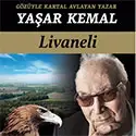 gozuyle-kartal-avlayan-yazar-yasar-kemal.webp