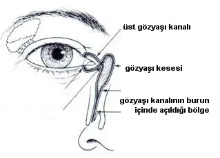 gozyasi2.webp