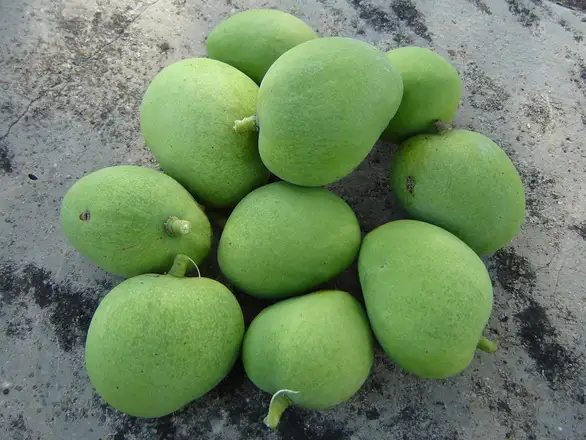 green-unripe-mango-1326472.webp
