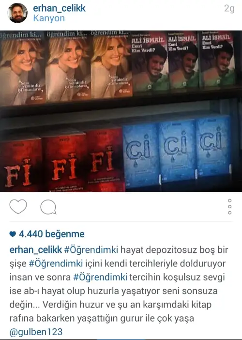 gulbenergentebrik.webp