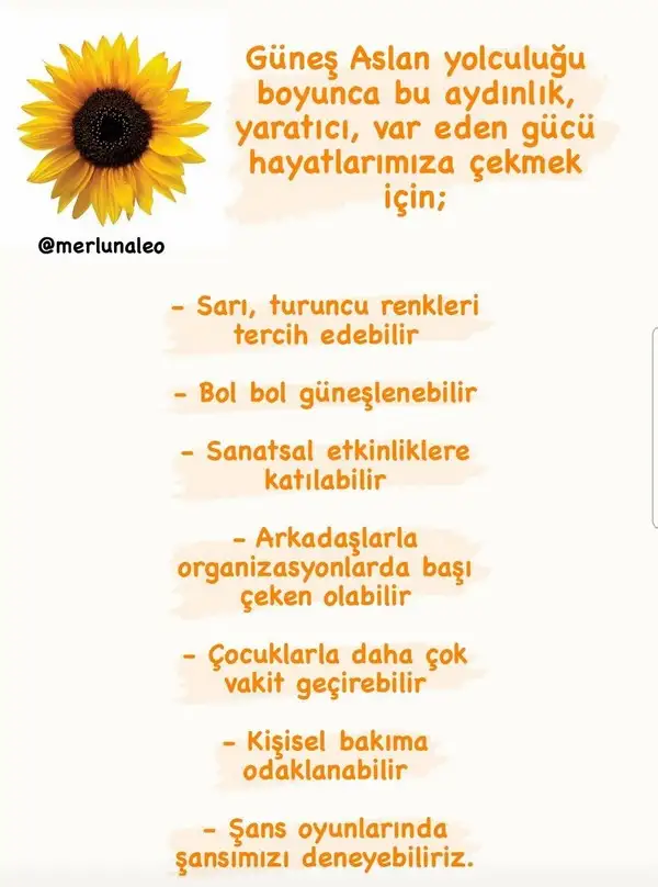 gün asl5 (3).webp