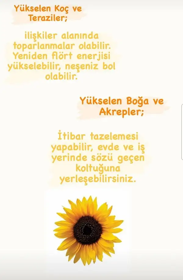 gün asl5 (5).webp