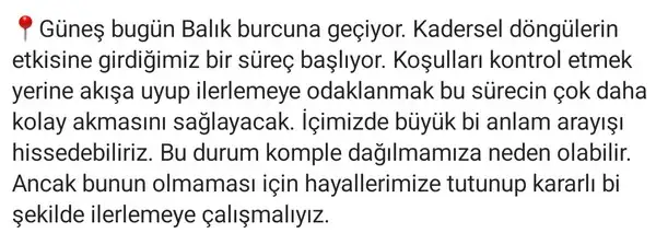 gün bal1 (2).webp