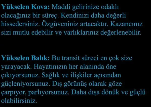 gün bal3 (7).webp