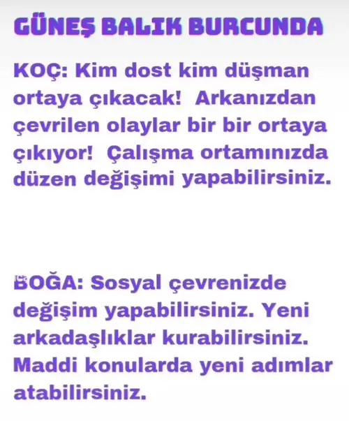 gün bal6 (2).webp