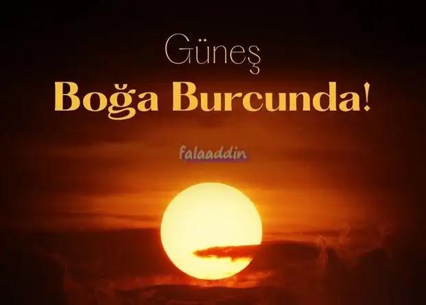 gün boğa9 (1).webp