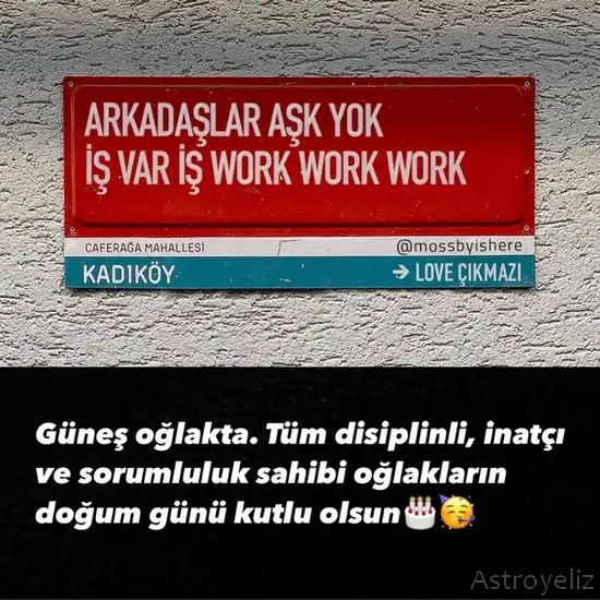 gün oğl.webp