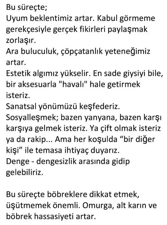 gün ter (2).webp