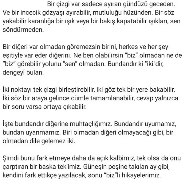 gun ter (2).webp