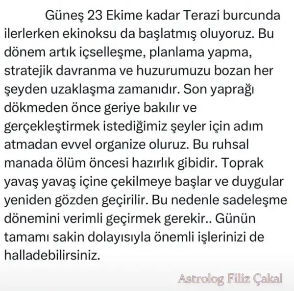 gün ter23.webp