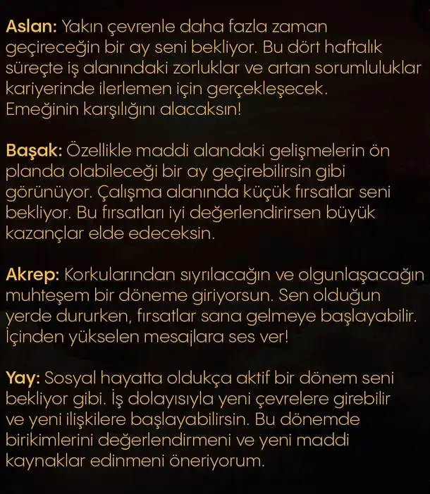 gün ter5 (3).webp