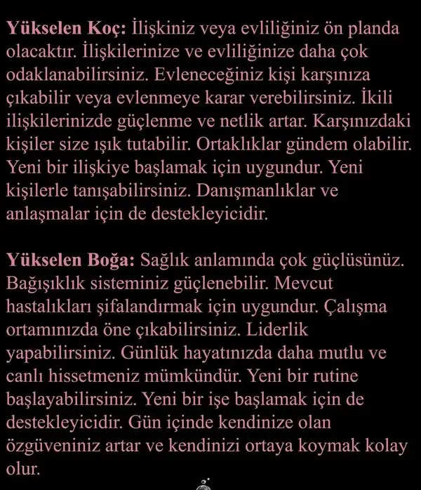 gün ter55 (2).webp