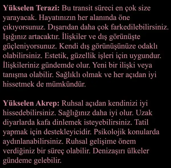 gün ter55 (5).webp