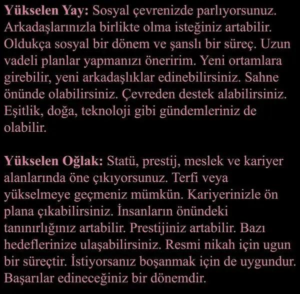 gün ter55 (6).webp