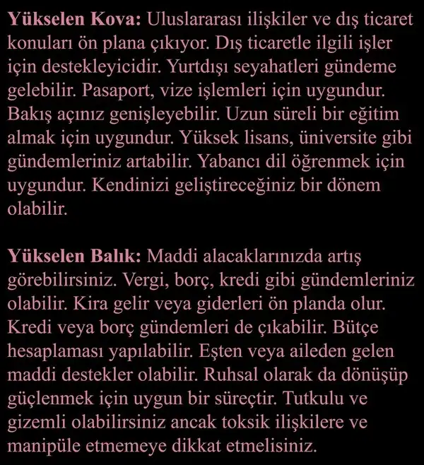 gün ter55 (7).webp