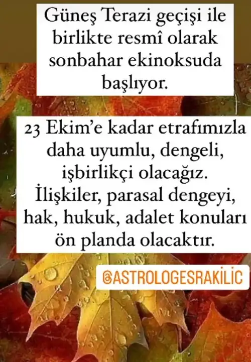 gün ter8.webp