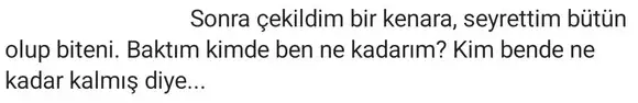 gün ven akrep4 (2).webp