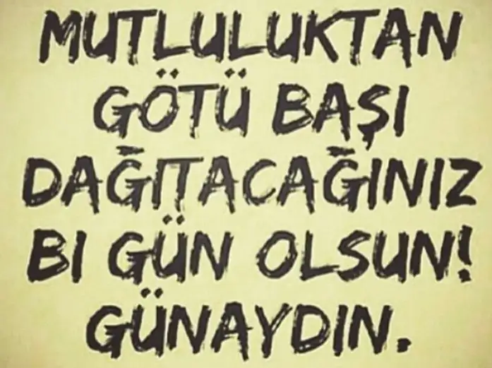gun.webp