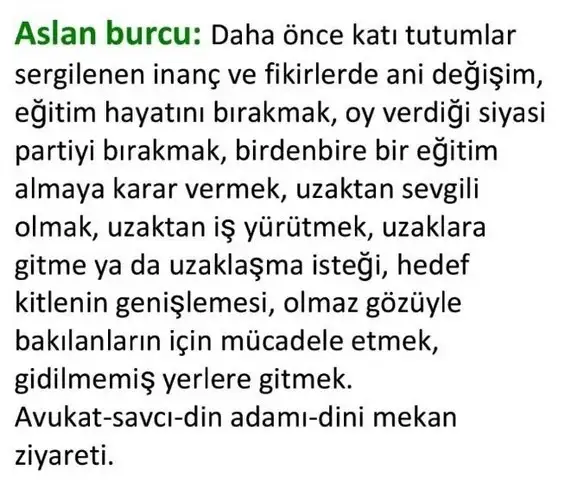 gün2 (4) - Kopya.webp