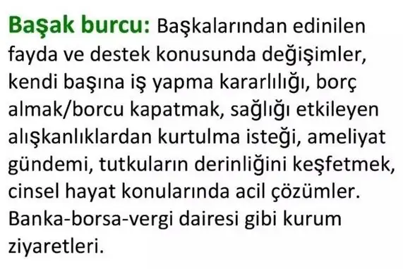 gün2 (5).webp