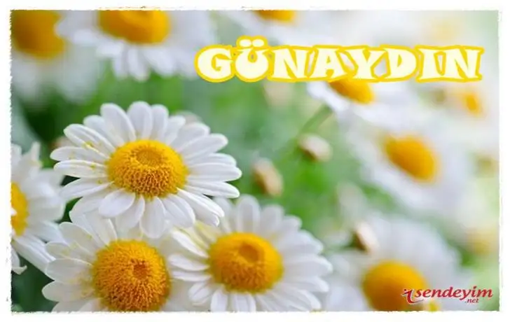gunaydin.webp