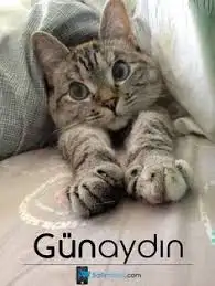 günaydın.webp