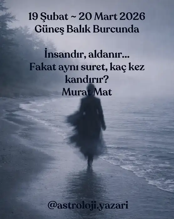 gunbal1 (1).webp