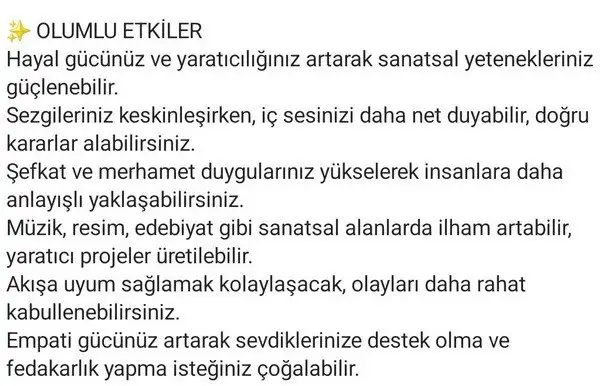 günbal2 (8).webp