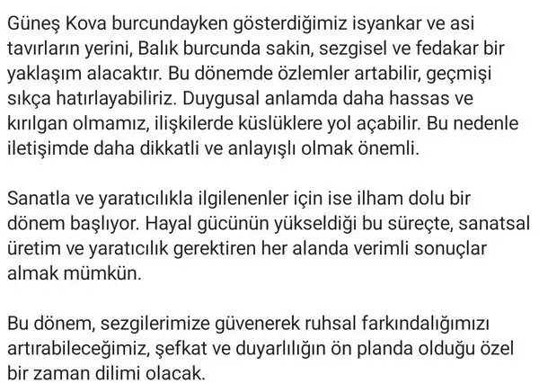 günbal7 (4).webp