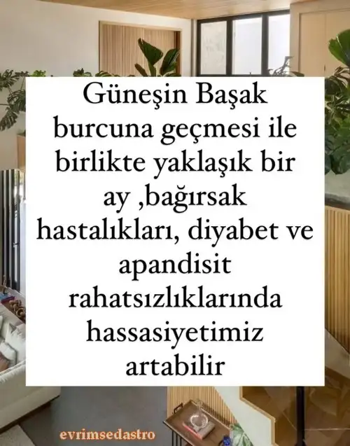 gunbaş.webp