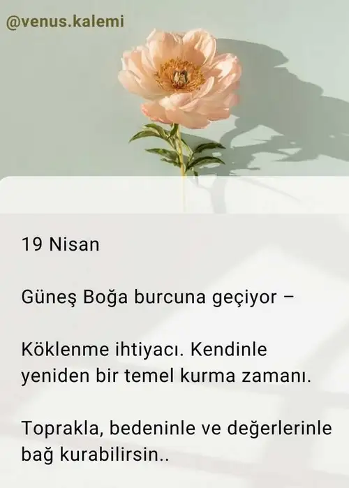 gunbog3.webp