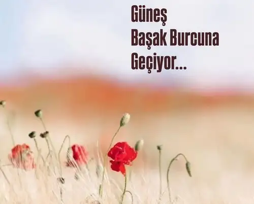 gunbşk92 (1).webp