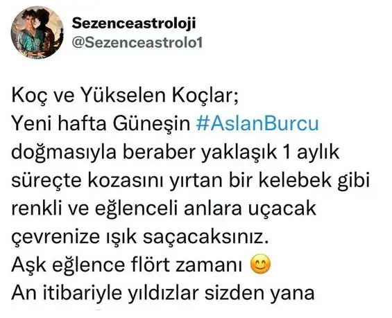 güneş asl (1).webp