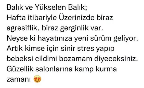güneş asl (13).webp