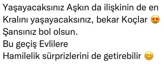 güneş asl (2).webp