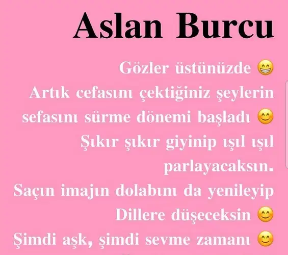 güneş asl (6).webp