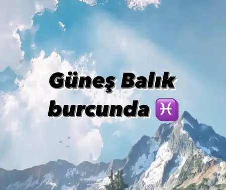 güneş balık 1 (1).webp