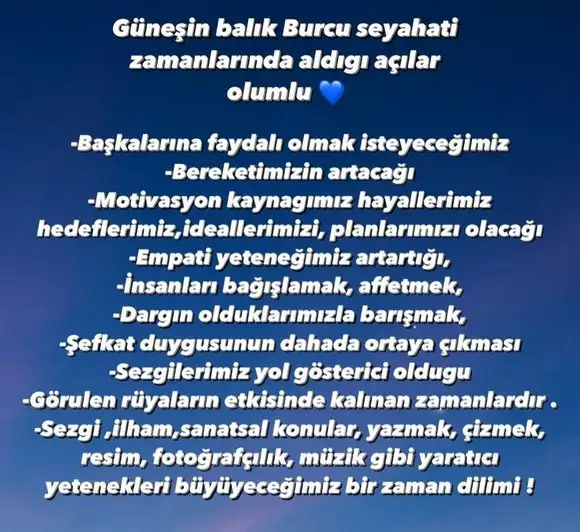 güneş balık 1 (2).webp