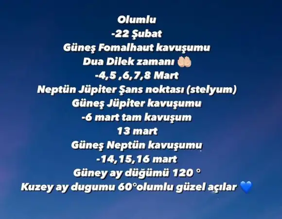 güneş balık 1 (4).webp