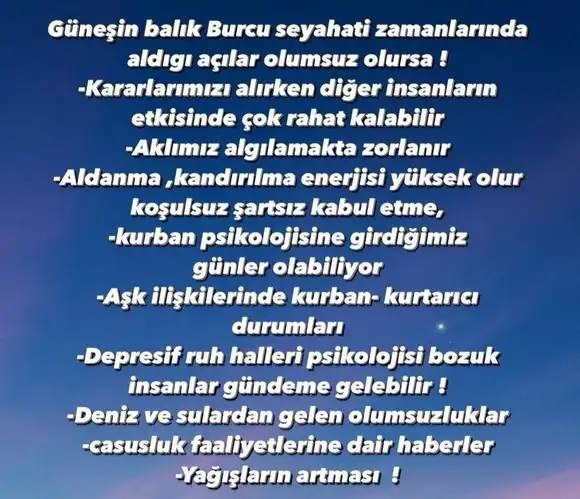 güneş balık 1 (5).webp